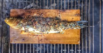 Fish in plank